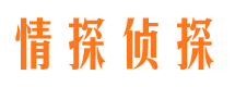 华龙侦探公司